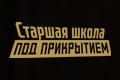Старшая школа под прикрытием