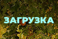 Загрузка (2020)